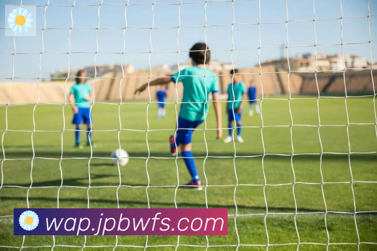 开云kaiyun网页版荣誉