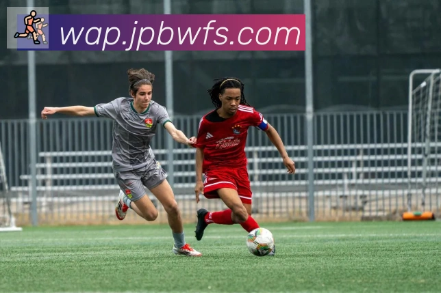 开云kaiyun网页版荣誉