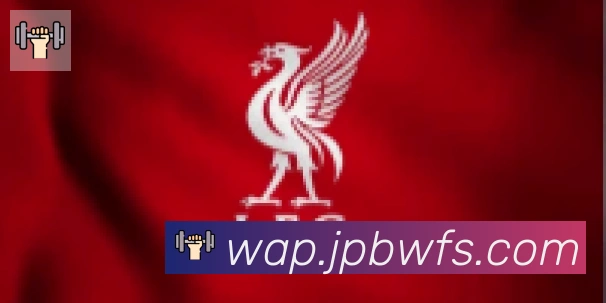 开云kaiyun网页版合作伙伴